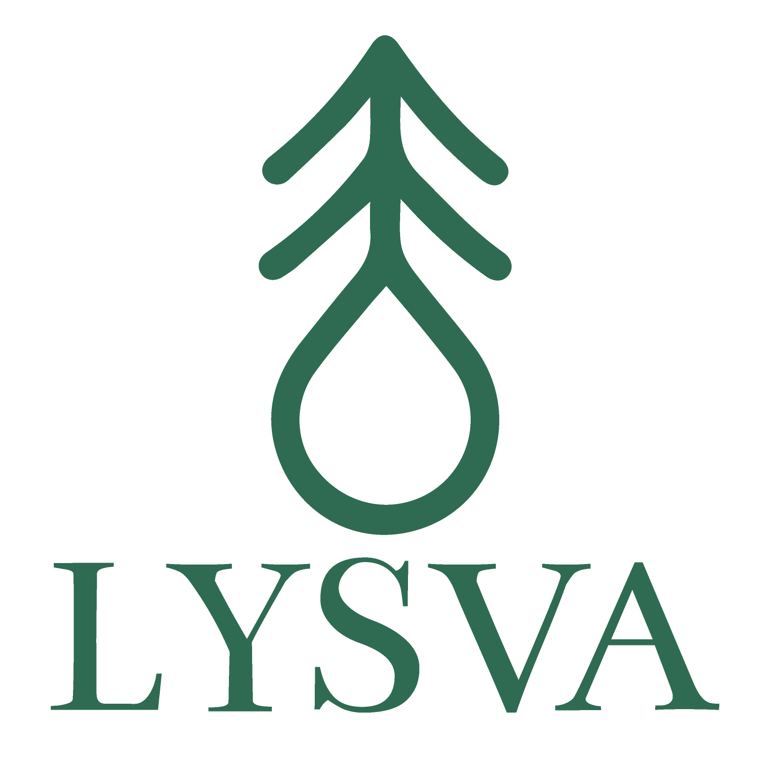 lysva-logo_03