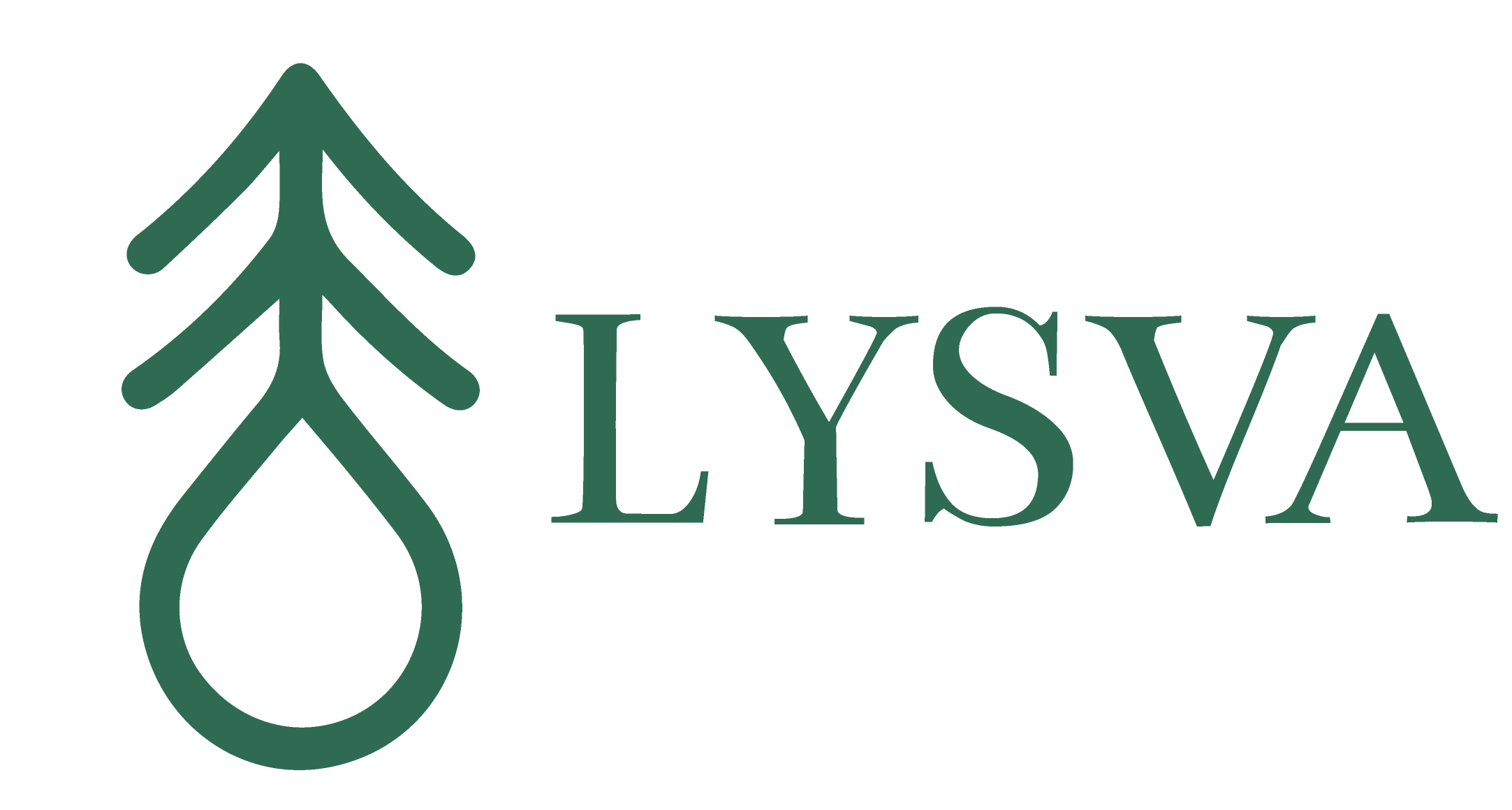 lysva-logo_06